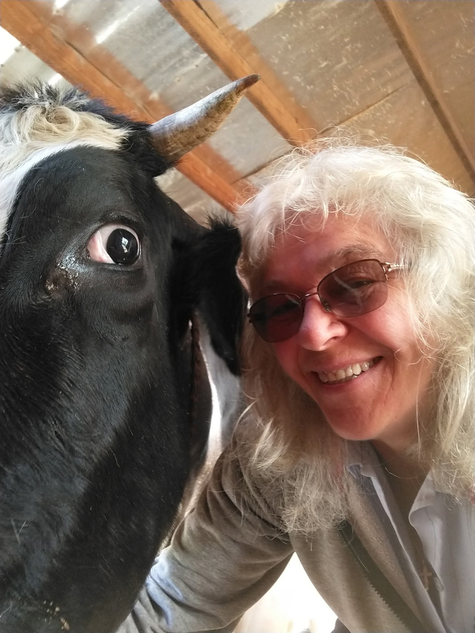 Appleby Community Farm photo 13