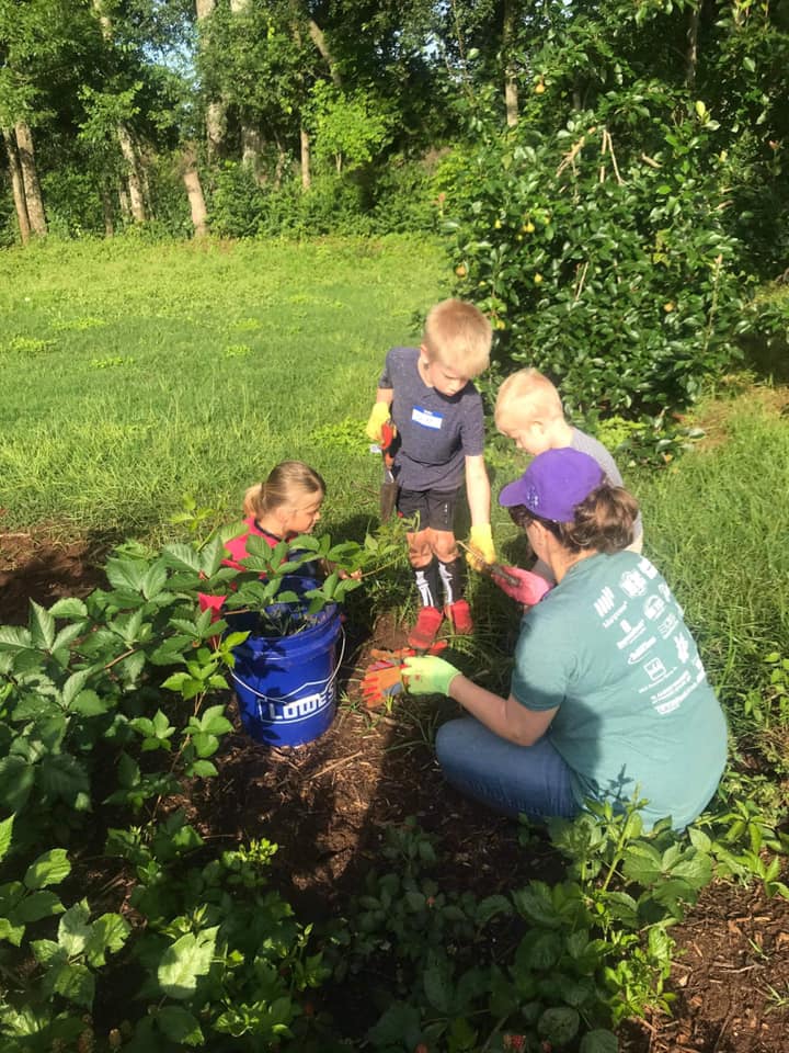 Appleby Community Farm photo 4