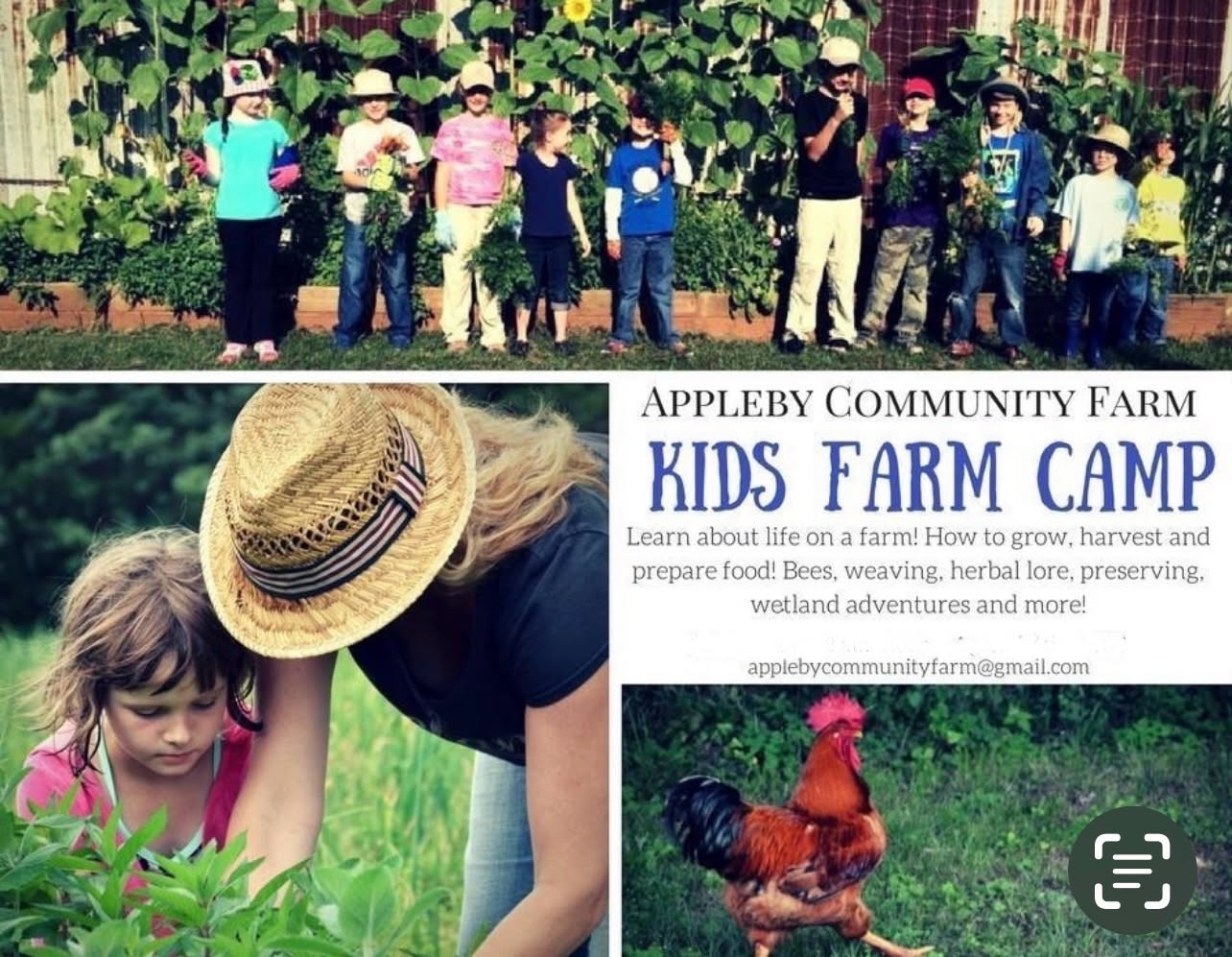 Kids Farm Camp