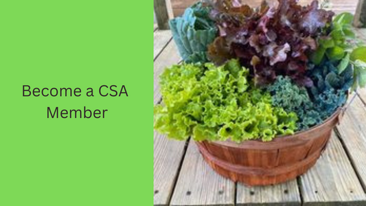 Become a CSA Member